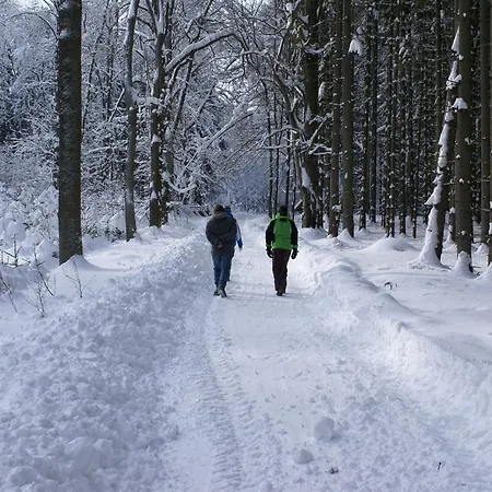 Chalupa Borovnice Borovnice (Pardubice)
