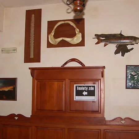 Chalupa Borovnice Holiday home *